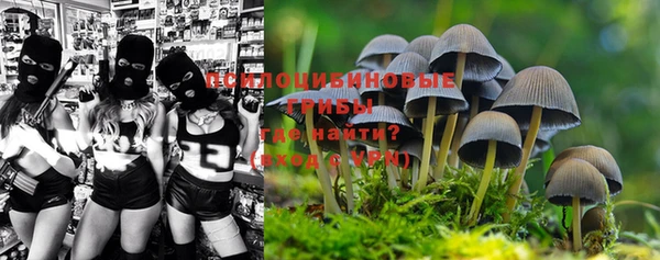 PSILOCYBIN Армянск