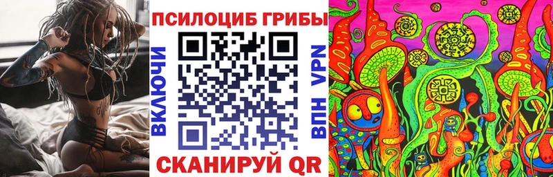Галлюциногенные грибы Psilocybine cubensis  даркнет сайт  Нолинск 