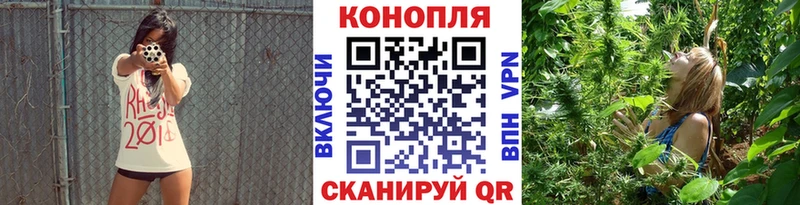 MEGA вход Нолинск Бошки марихуана Ganja